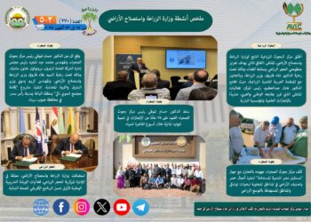 وزير التعليم العالي: انضمام مصر إلى “هورايزون أوروبا” يعزز موقعها الدولي في منظومة البحث والابتكار