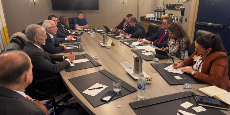 وزير الاستثمار يبحث مع مجموعة IIB Group Holdings فرص التعاون الاستثماري في القطاعات الاستراتيجية بمصر