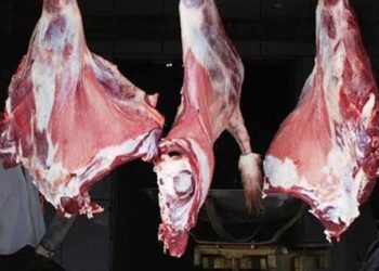 أسعار اللحوم في مصر اليوم الجمعة