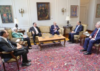 وزيرا الخارجية والعمل يناقشان الهجرة والعمالة المصرية بالخارج