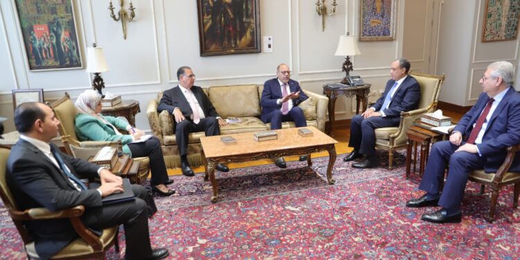 وزيرا الخارجية والعمل يناقشان الهجرة والعمالة المصرية بالخارج