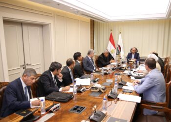 وزير قطاع الأعمال العام يبحث مع مجموعة “طلعت مصطفى” تعزيز التعاون في المشروعات السياحية والفندقية