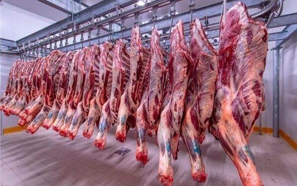 أسعار اللحوم في مصر اليوم الخميس