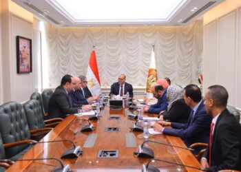 وزير العمل يبحث مع قيادات الهيئة القومية للتأمينات الاجتماعية تعزيز التعاون في ملفات الحماية الاجتماعية