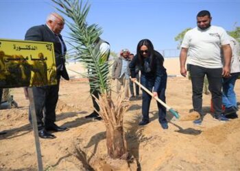 وزيرة التضامن تغرس نخلة في حديقة 30 يونيو بالوادي الجديد