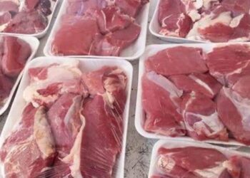 تراجع طفيف في أسعار اللحوم اليوم الاثنين 24 نوفمبر 2025.. تفاصيل الأسعار للبلدي والمستورد