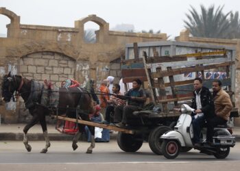 ارتفاع معدل البطالة في مصر لـ6.4%