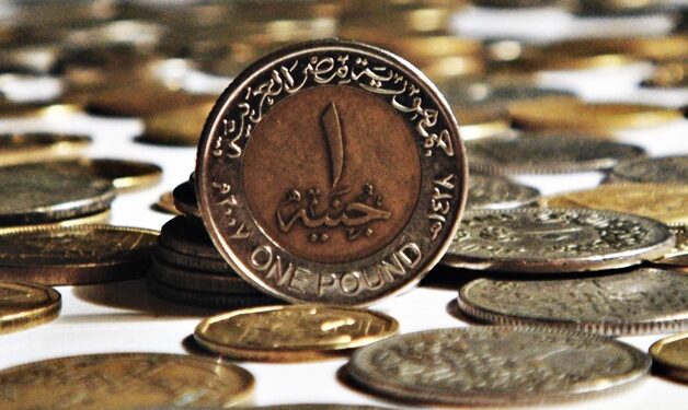 فيتش تؤكد ارتفاع قيمة الجنيه المصري