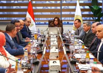 وزيرة التنمية تعقد اجتماعاً لمتابعة جهود التنسيق مع وزارة المالية لتنمية الموارد الذاتية لمختلف المحافظات