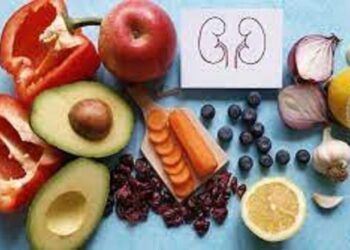 أطعمة تساعدك على الحصول على كلى نظيفة وسليمة وقوية