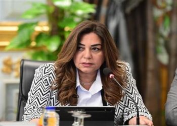 وزيرة التنمية تتابع مع المحافظين سير العملية الانتخابية لمجلس النواب