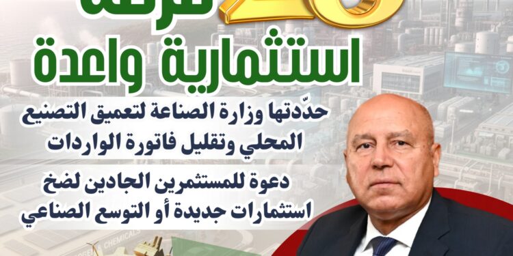 تعرف بالتفصيل على الـ28 فرصة استثمارية واعدة المحددة من وزارة الصناعة بهدف تعميق التصنيع المحلي وتلبية احتياجات السوق