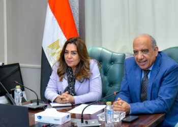 وزيرا الكهرباء والتنمية يبحثان التنسيق والعمل المشترك والتعاون في قضايا البيئة والطاقات المتجددة