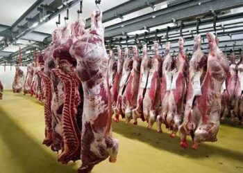 أسعار اللحوم في مصر اليوم الأحد