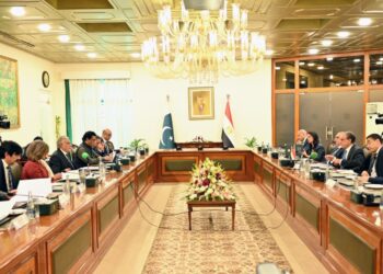 مشاورات سياسية بين وزيرى الخارجية المصري والباكستاني في إسلام آباد