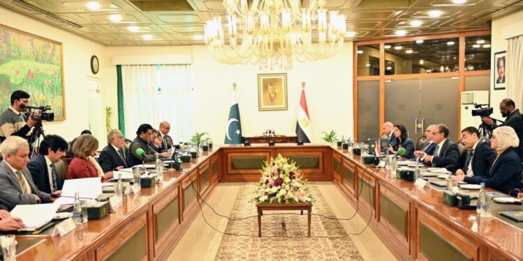 مشاورات سياسية بين وزيرى الخارجية المصري والباكستاني في إسلام آباد