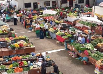 أسعار الخضروات والفاكهة في مصر اليوم السبت