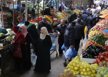 أسعار الخضروات والفاكهة في مصر اليوم الإثنين