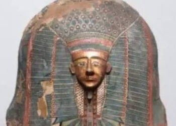 هولندا تعتزم إعادة قطعة أثرية عمرها 3500 عام إلى مصر