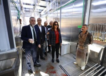 وزيرة التنمية: المجزر الجديد يخدم المناطق النائية والحدودية ضمن خطة الوزارة والسعة التشغيلية ١٠٠ رأس ماشية