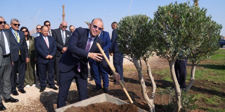 مبادرة زراعة الأشجار في شرم الشيخ لخفض الانبعاثات الكربونية بمشاركة قيادات التأمين