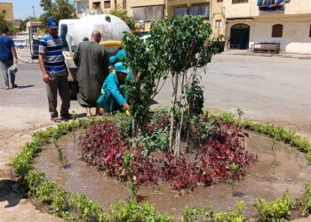 رئيس الوزراء يتابع خطط التطوير والتشجير بالقاهرة الكبرى