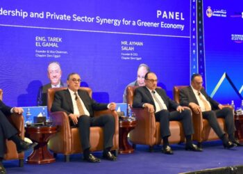 رئيس هيئة الاستثمار : إنتاج ضخم للألواح الشمسية في مصر بنسبة مكون محلي 90% في الربع الأول من 2026