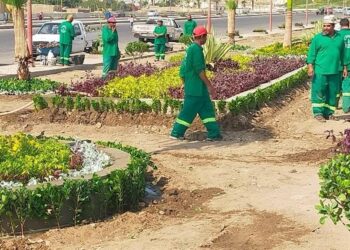 وزيرة التنمية المحلية تعلن انطلاق المرحلة الرابعة من المبادرة الرئاسية “100 مليون شجرة” بمحافظة الشرقية