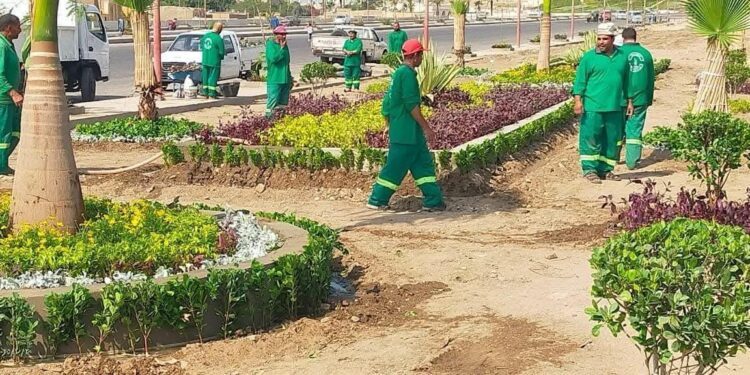 وزيرة التنمية المحلية تعلن انطلاق المرحلة الرابعة من المبادرة الرئاسية “100 مليون شجرة” بمحافظة الشرقية