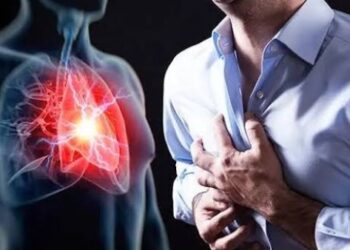 يحمي القلب والمخ.. فوائد خارقة لزيت مغمور