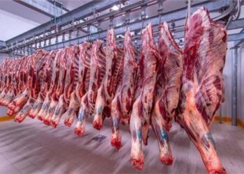 أسعار اللحوم في مصر اليوم الخميس