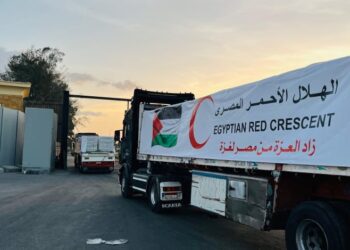 مجلس الوزراء: تقديم أكثر من 665 ألف طن مساعدات إلى غزة منذ بدء الأزمة