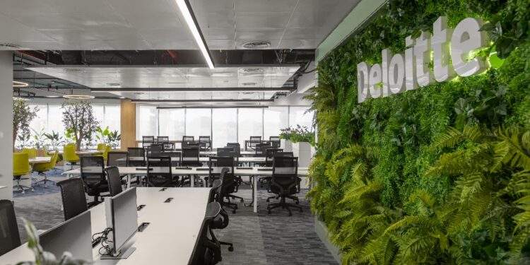 باستثمارات تبلغ 30 مليون دولار، مع خطط لضخ 80 مليون دولار إضافية خلال السنوات الثلاث المقبلة