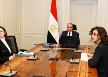 لقاء افتراضي لوزير الخارجية مع الجالية المصرية في كمبوديا وسنغافورا وتايلاند