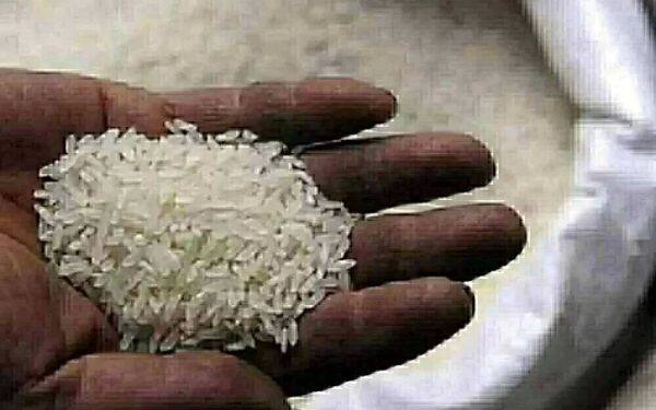 أسعار الأرز الشعير والأبيض اليوم الثلاثاء 2 ديسمبر 2025