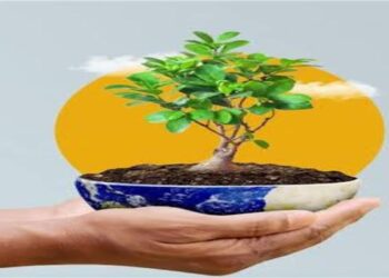 وزيرة التنمية والقائم بأعمال وزير البيئة تستعرض تقرير  جهود تحسين جودة الهواء خلال عام 2025