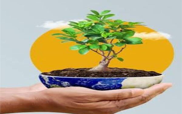 وزيرة التنمية والقائم بأعمال وزير البيئة تستعرض تقرير جهود تحسين جودة الهواء خلال عام 2025