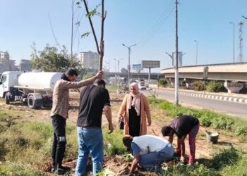 وزيرة التنمية تعلن انطلاق المرحلة الرابعة من المبادرة الرئاسية 100 مليون شجرة بالدقهلية