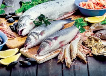 أسعار الأسماك في مصر اليوم الثلاثاء 2 ديسمبر 2025