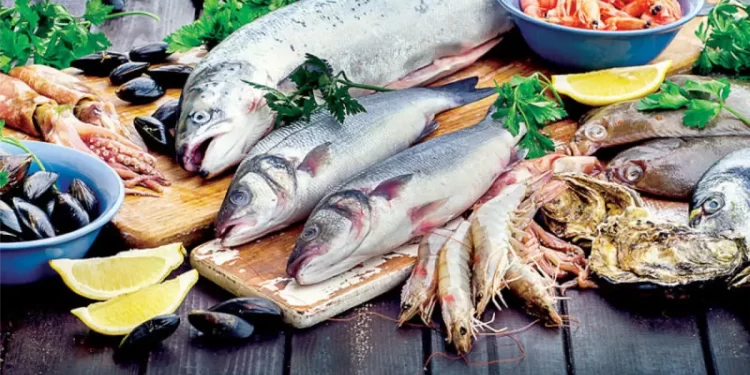 أسعار الأسماك في مصر اليوم الثلاثاء 2 ديسمبر 2025