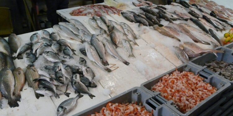سعر السمك اليوم في سوق العبور الأربعاء 3 ديسمبر 2025