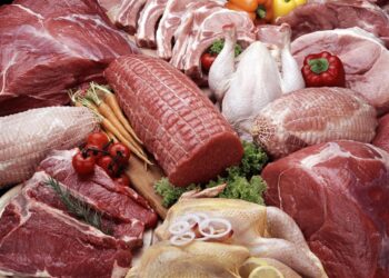 سعر السمك اليوم في سوق العبور الأربعاء 3 ديسمبر 2025