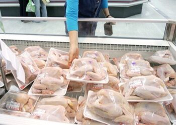 الكيلو بجنيه.. حملة أمنية تكشف سر انخفاض أسعار الدواجن في الجيزة