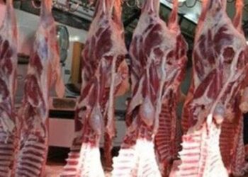وزير الزراعة: محدش يشتري أي لحوم سعرها أقل من 200