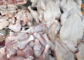 حملة أمنية مكبرة تضبط دواجن فاسدة في الأسواق بأسعار مغرية