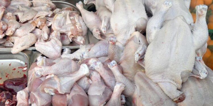 حملة أمنية مكبرة تضبط دواجن فاسدة في الأسواق بأسعار مغرية