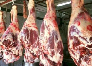 أسعار اللحوم في مصر اليوم الاربعاء