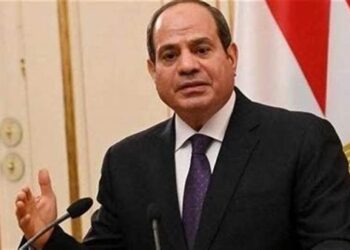 الرئيس السيسى يهنئ أبناء مصر بالخارج بمناسبة العام الميلادى الجديد