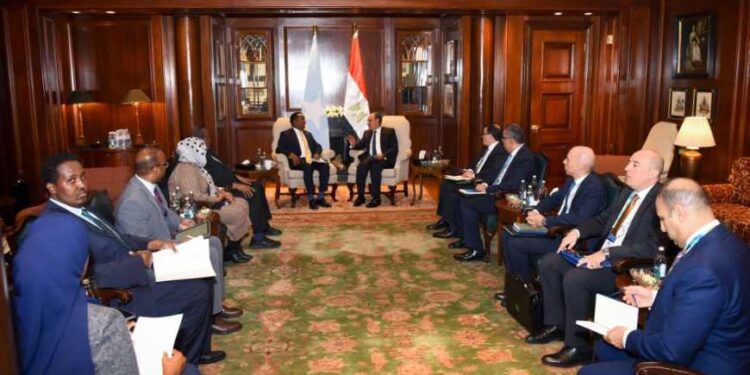 مباحثات مصرية-صومالية حول سبل تعزيز الشراكة ودعم الأمن والاستقرار
