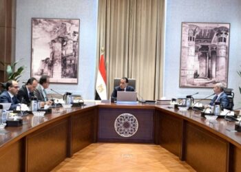 رئيس الوزراء يتابع مستجدات العمل في عدد من ملفات وزارة الصحة والسكان